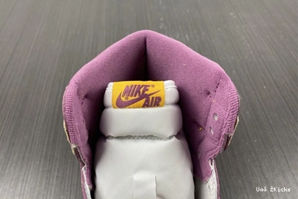 Jordan Elegant Air High OG “Brotherhood” 1 555088-706 180 0715